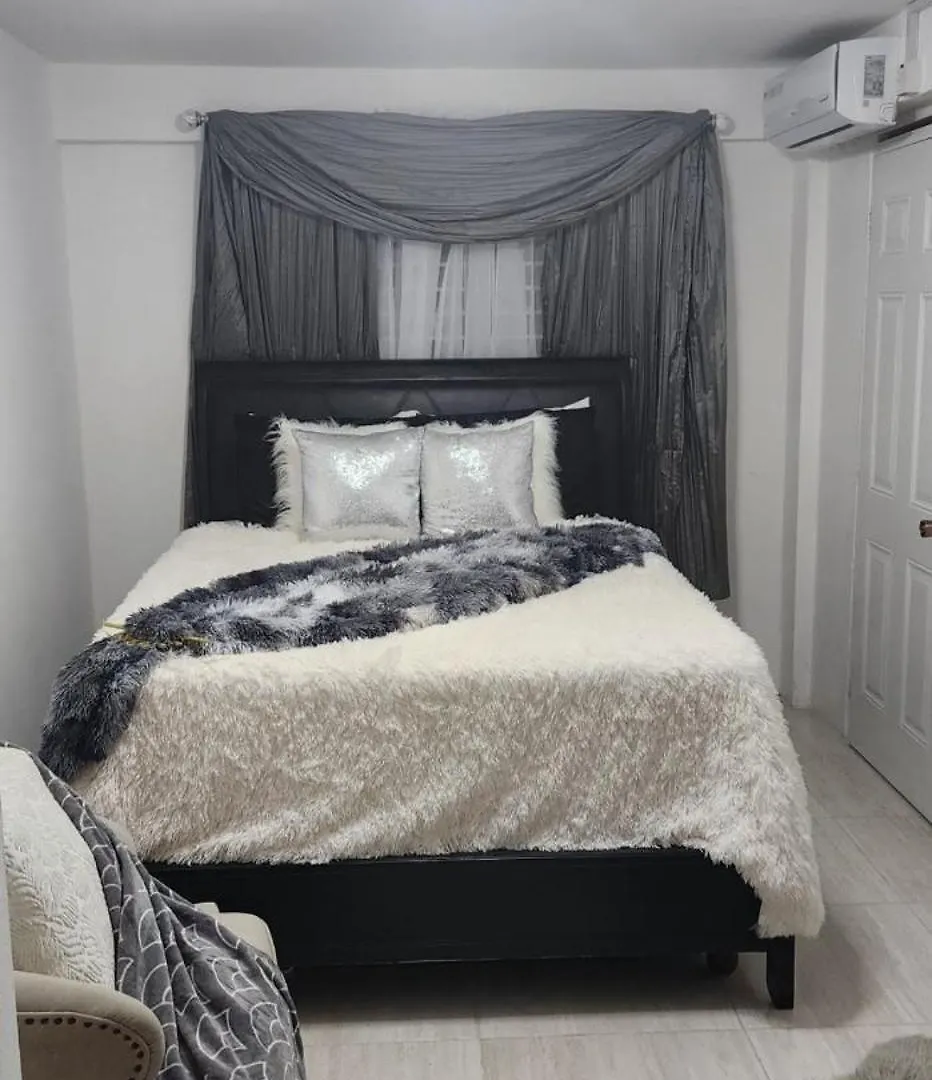11Onessex2 In The Heart Of Kingston Jamaica Apartment